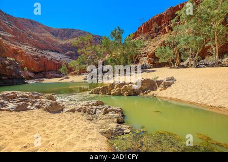 Golden sand in bed of Finke River in dry season with waterhole of Ormiston Gorge. West MacDonnell Ranges, Northern Territory, Australia. Sunny day in Stock Photo