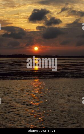 Sunset on Sanibel-Island / Gulf of Mexico  -  Florida