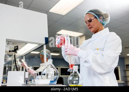 Technicians working in the laboratory of a pharmaceuticals company. Stock Photo