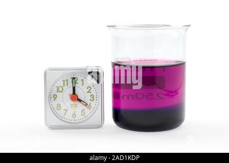 Potassium permanganate diffusion in water. Beaker containing potassium permanganate (purple) and water, and a clock being used to time how long it tak Stock Photo