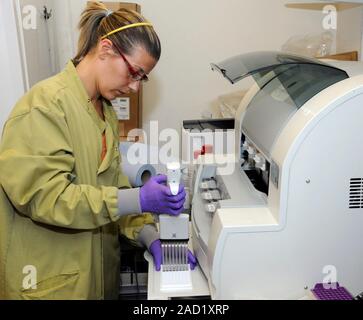 Genetic analysis. Scientist preparing a genetic analysis of a sample. The machine is an automated system for total nucleic acid extraction. It is the Stock Photo