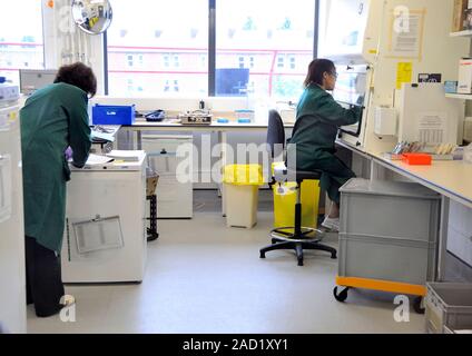 Biomedical analysis. Scientists working in a laboratory and at a fume cupboard while carrying out analysis of biomedical samples. Photographed as part Stock Photo