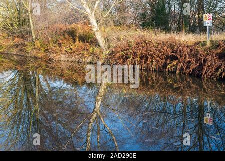 Beautiful autumn scene on the Worcester and Birmingham canal in Selly Oak, Birmingham, UK Stock Photo