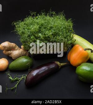 Micro greens sprouts Stock Photo