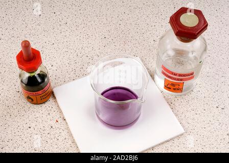 Testing pH. Universal indicator (left) being used to test the pH of a solution (centre) of sodium hydroxide (right). As sodium hydroxide is an alkali, Stock Photo