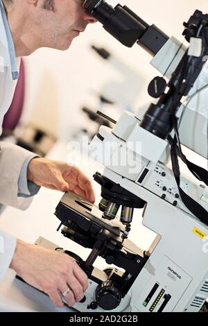 Light microscopy. Researcher using a light microscope to examine samples. The samples are placed on a glass slide on the mount (lower centre). This mi Stock Photo