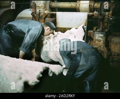Synthetic rubber production. Workers handling a sheet of synthetic rubber coming off a rolling mill at a factory in the 1940s. The sheet will need to Stock Photo