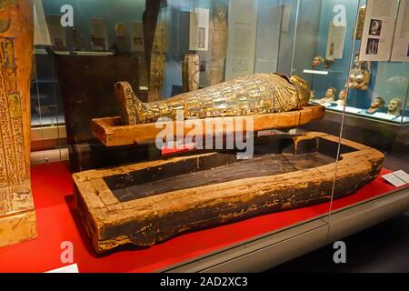 Egyptian mummies on display in The British Museum, Great Russell St, Bloomsbury, London, England, UK Stock Photo