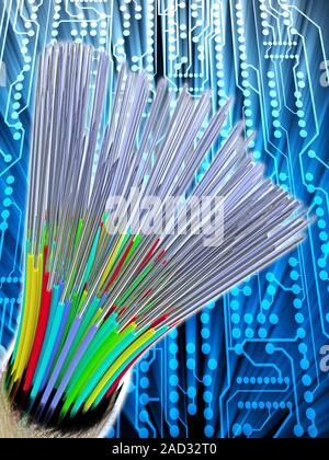 Optical fibre cable, containing a bundle of optical fibres conducting light. These fibres are made of very pure glass which is coated so as to allow l Stock Photo