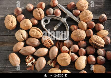Carya illinoinensis, Corylus avellana, Juglans regia, Prunus dulcis, Pecan, Hazel, Walnut, Almond Stock Photo
