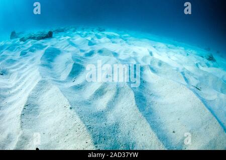 Wave patterns on sandy sea bed. Close-up of patterns formed in sand by the action of waves in shallow water. Stock Photo