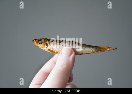 hand of unrecognizable person holding small fish, smoked sprat Stock Photo