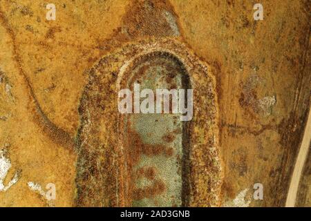 Dried fish farm ponds aerial view from drone pov as abstract background Stock Photo