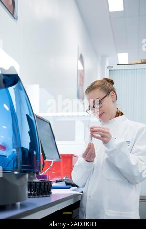 Haematology laboratory. Haematologist preparing blood samples for minicap flex piercing to test for haemoglobinopathy. Haemoglobinopathies are genetic Stock Photo