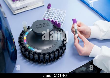 Haematology laboratory. Haematologist preparing blood samples for minicap flex piercing to test for haemoglobinopathy. Haemoglobinopathies are genetic Stock Photo