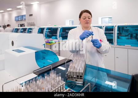 Haematology laboratory. Haematologist preparing blood samples for testing in the haematology lab of a hospital. Stock Photo