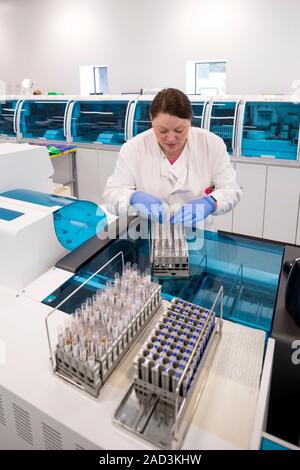 Haematology laboratory. Haematologist preparing blood samples for testing in the haematology lab of a hospital. Stock Photo