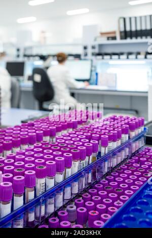 Haematology laboratory. Blood samples ready for testing in the haematology lab of a hospital. Stock Photo