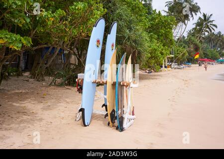 Various surfboards for hire on a beach in Sri Lanka Stock Photo