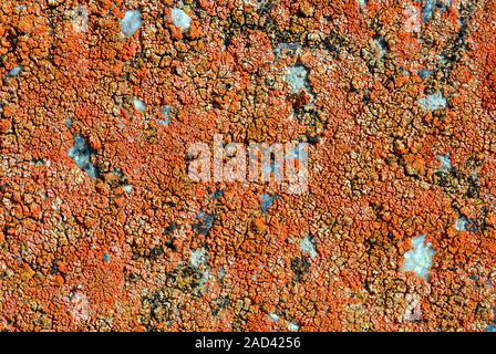 Yellow rough concrele surface close up detail, grunge horizontal shabby background Stock Photo