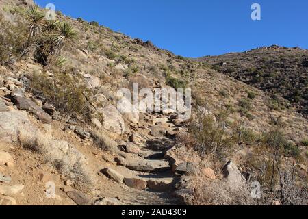 The Little San Bernardino Range contains Ryan Mountain Trail, and, within natural wonders of the Southern Mojave Desert in Joshua Tree National Park. Stock Photo