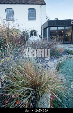 Herbaceous border in garden of a listed period house with modern extension, on a frosty winter morning. Bristol. UK. Ornamental grass in foreground is Stock Photo