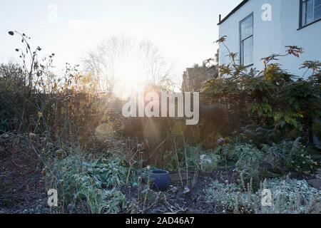 Herbaceous border in the tgarden of a Listed period house on a frosty winter morning. Bristol. UK. Stock Photo