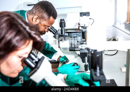 Laboratory microscopy. Researchers using light microscopes to study samples. Photographed in a biomedical research laboratory. Stock Photo