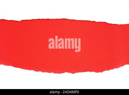 Pieces of red torn Paper, ripped Paper as Background isolated on white Stock Photo