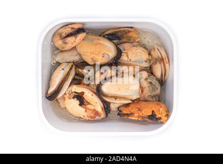 Plate or Bowl with Mussels in Oil, Mussels marinated with Oil isolated on white Background Stock Photo