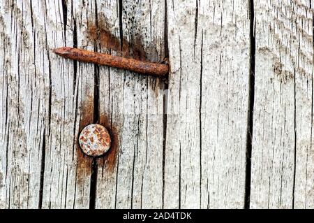 Rusty nails in an old cracked wood Stock Photo