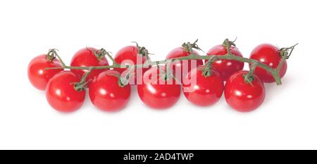 Cherry tomatoes on the stem Stock Photo
