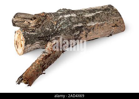 Single poplar log horizontally Stock Photo