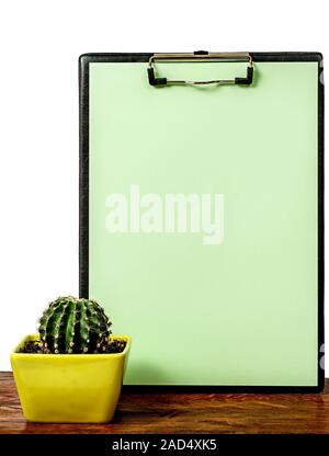 Cactus on the desk near the greenish board Stock Photo