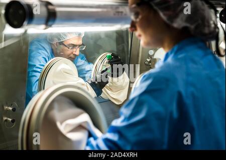 Biopharmaceutical production. Technicians working at an isolation cabinet in a biopharmaceuticals production unit. Biological medical products, such a Stock Photo