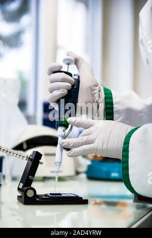 Genetic microarray preparation. Analyst pipetting a prepared DNA (deoxyribonucleic acid) sample onto a gene chip or microarray. This device is used wi Stock Photo