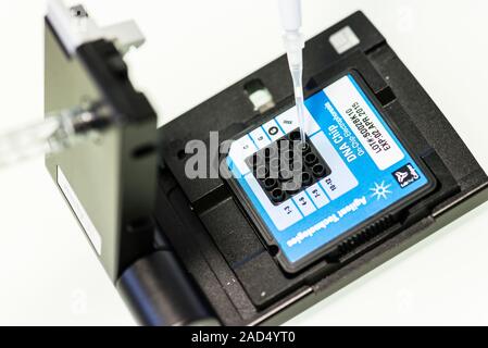 Genetic microarray preparation. Analyst pipetting a prepared DNA (deoxyribonucleic acid) sample onto a gene chip or microarray. This device is used wi Stock Photo
