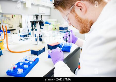 Pipetting DNA samples. Pipetting of DNA (deoxyribonucleic acid) samples being carried out in a bioinformatics laboratory. Bioinformatics uses computer Stock Photo