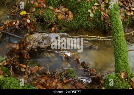 A plastic sheet polluting a woodland stream. Stock Photo