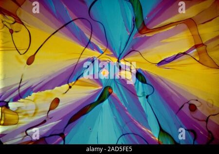 Light micrograph (LM) of Vitamin E crystals. Vitamin E (tocopherol) is a fat-soluble (lipophilic) vitamin that is an important antioxidant. Antioxidan Stock Photo