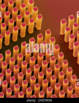 Coloured scanning electron micrograph (SEM) of DNA purification microchip. Highly purified DNA is required for use in biosensors or biochips. Silicon Stock Photo