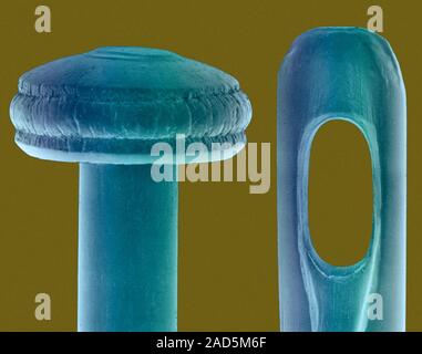 Coloured scanning electron micrograph (SEM) of Straight pin head and eye of a sewing needle. A sewing needle is used in sewing to pull thread through Stock Photo