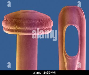 Coloured scanning electron micrograph (SEM) of Straight pin head and eye of a sewing needle. A sewing needle is used in sewing to pull thread through Stock Photo