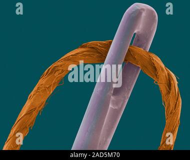 Coloured scanning electron micrograph (SEM) of Polyester thread in the eye of a sewing needle. A sewing needle is used in sewing to pull thread throug Stock Photo