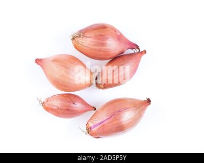 shallots onion on white background, bulbs, top view Stock Photo