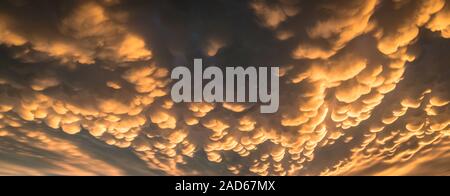 Panorama of colorful mammatus clouds at the back of severe thunderstorm Stock Photo