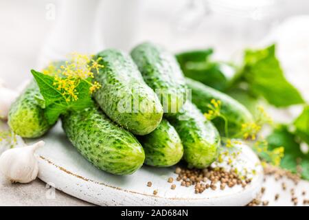 Fresh cucumbers and ingredients for conservation. Preparation marinated salted cucumbers with herbs and salt. Stock Photo