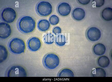 Harmonic backgrounds. Air bubbles in water (bleb) on bright, smooth surface Stock Photo