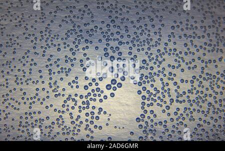 Harmonic backgrounds. Air bubbles in water (bleb) on bright, smooth surface Stock Photo