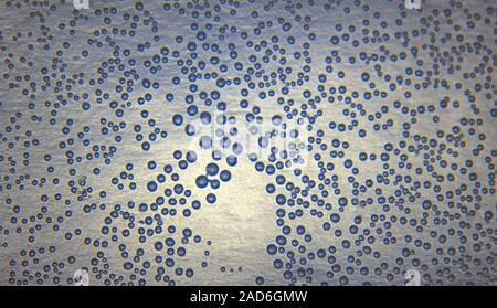Harmonic backgrounds. Air bubbles in water (bleb) on bright, smooth surface Stock Photo